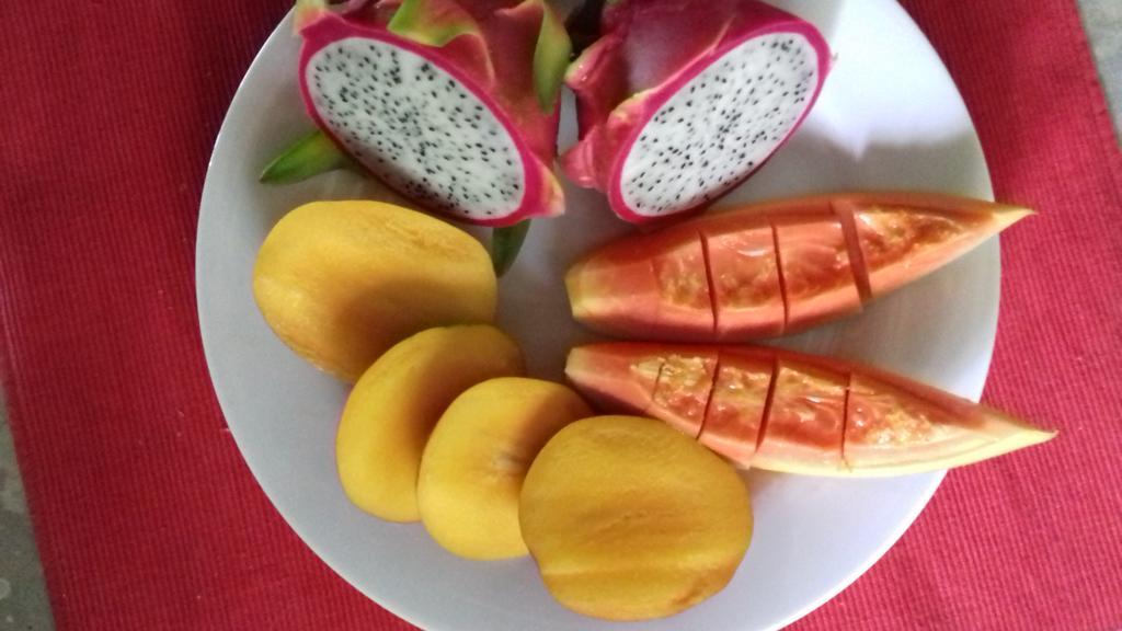 Chillenjoy Cabanas & Restaurant Tangalle Ngoại thất bức ảnh