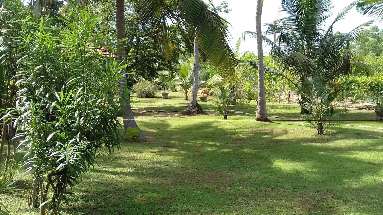 Chillenjoy Cabanas & Restaurant Tangalle Ngoại thất bức ảnh