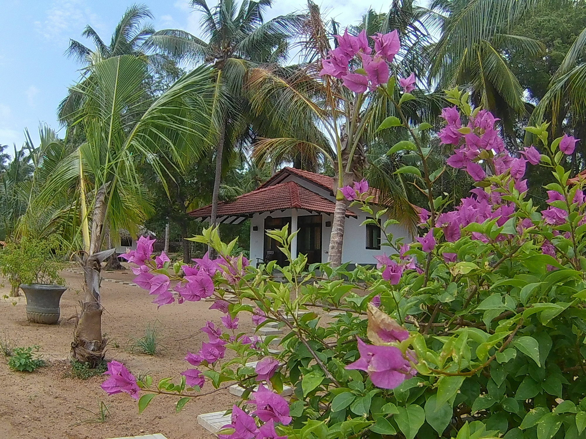 Chillenjoy Cabanas & Restaurant Tangalle Ngoại thất bức ảnh